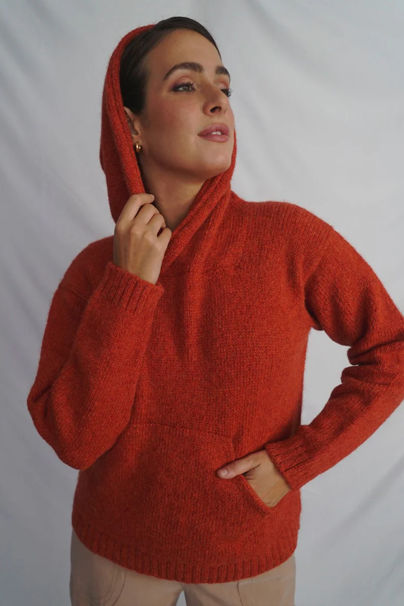 Briana Alpaca Hoodie Pullover - Image 3