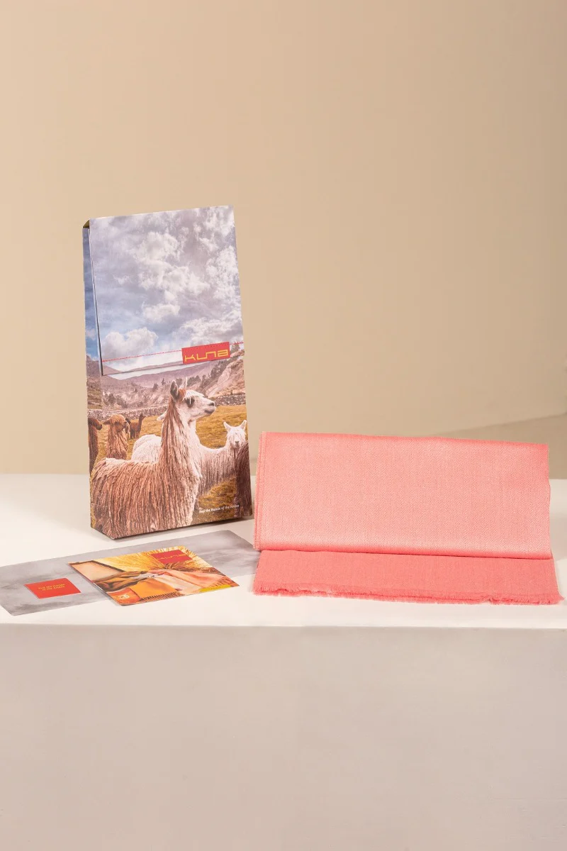 Essential Adrian Baby Alpaca Scarf - Image 27