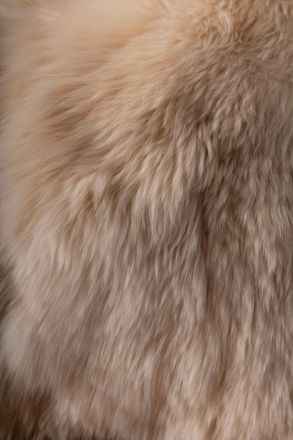 Suri Alpaca Fur Pillow Cover - Image 5