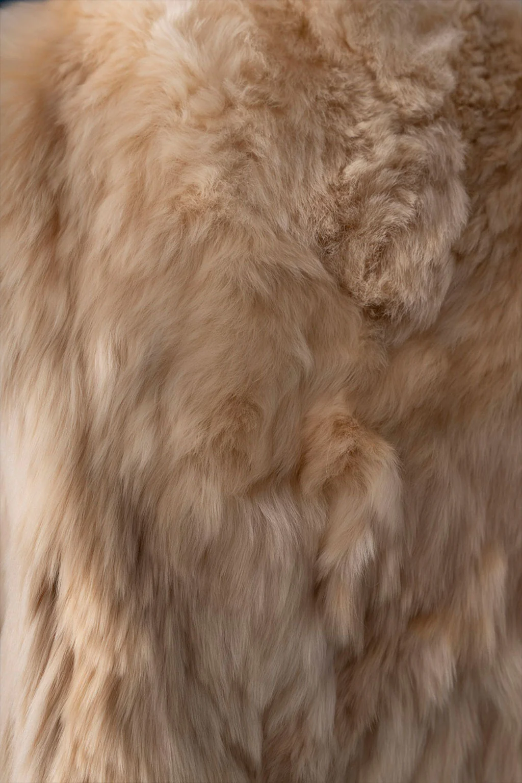 Suri Alpaca Fur Vest - Image 10